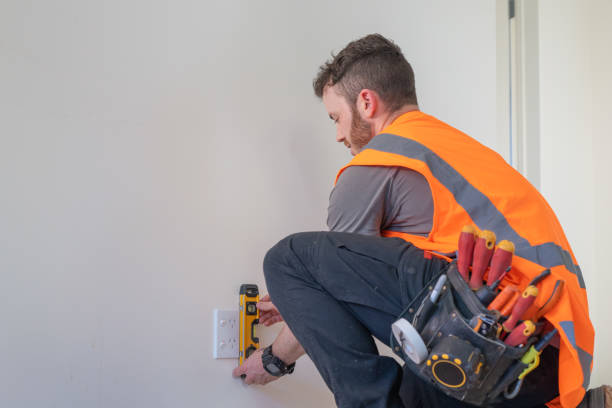 Best Electric Panel Repair  in Overland Park, KS